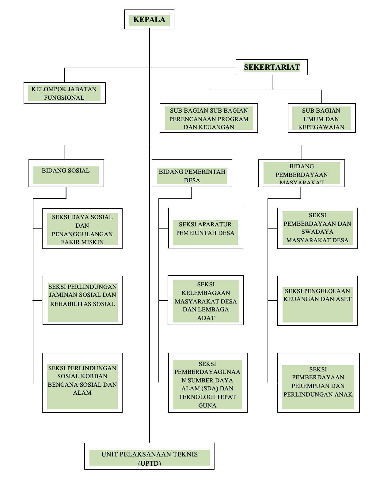 Struktur Organisasi